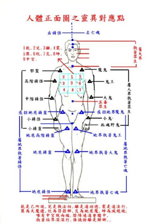 身體八卦